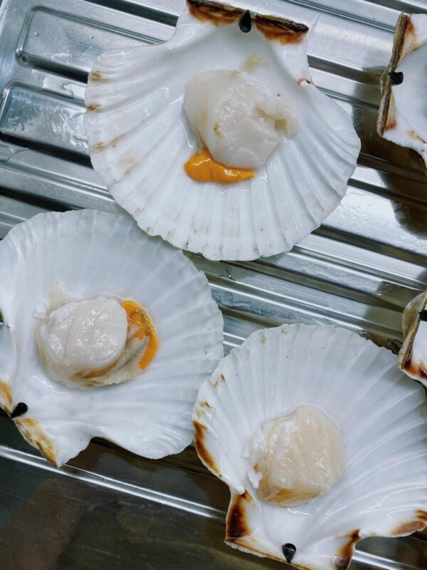 Cantonese Steamed Scallops With Vermicelli On Half Shell – Maggieats