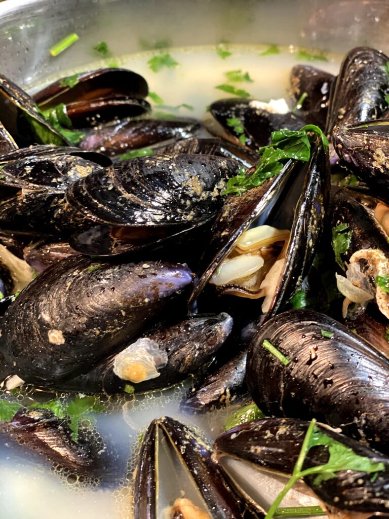 close up of cooked mussels